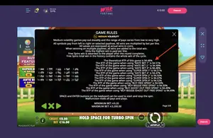 The Big Dog House RTP 94.48% at Wild Fortune — game rules screen