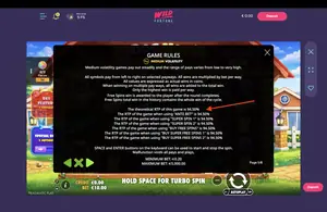 The Dog House Megaways 1000 RTP 94.50% at Wild Fortune — game rules screen