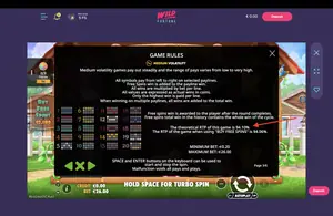 The Dog House Multihold RTP 94.10% at Wild Fortune — game rules screen
